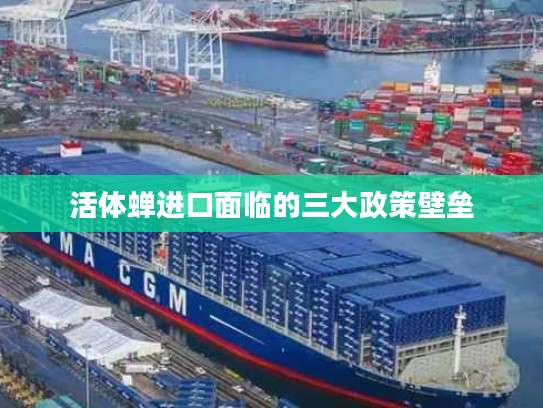 活体蝉进口面临的三大政策壁垒