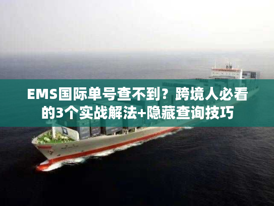 EMS国际单号查不到？跨境人必看的3个实战解法+隐藏查询技巧
