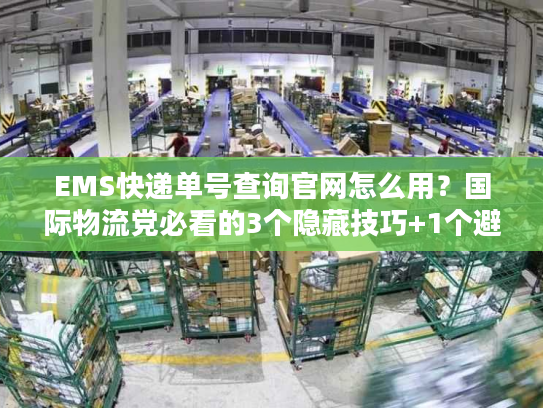 EMS快递单号查询官网怎么用？国际物流党必看的3个隐藏技巧+1个避坑指南