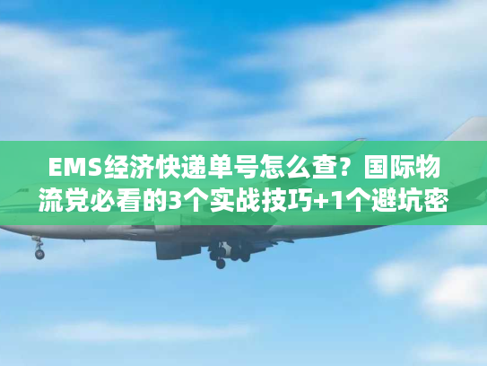 EMS经济快递单号怎么查？国际物流党必看的3个实战技巧+1个避坑密码