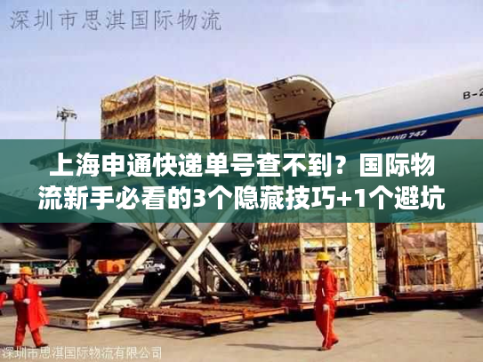 上海申通快递单号查不到?国际物流新手必看的3个隐藏技巧+1个避坑案例 上海申通快递单号查不到?国际物流新手必看的3个隐藏技巧+1个避坑案例