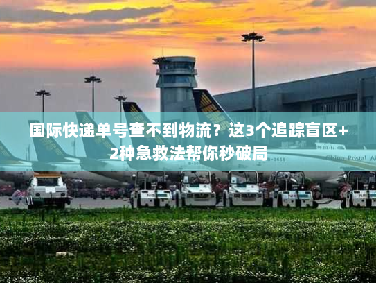 国际快递单号查不到物流？这3个追踪盲区+2种急救法帮你秒破局