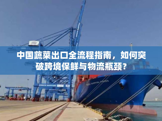 中国蔬菜出口全流程指南，如何突破跨境保鲜与物流瓶颈？