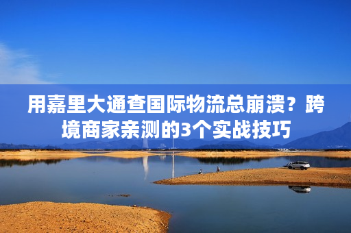 用嘉里大通查国际物流总崩溃？跨境商家亲测的3个实战技巧