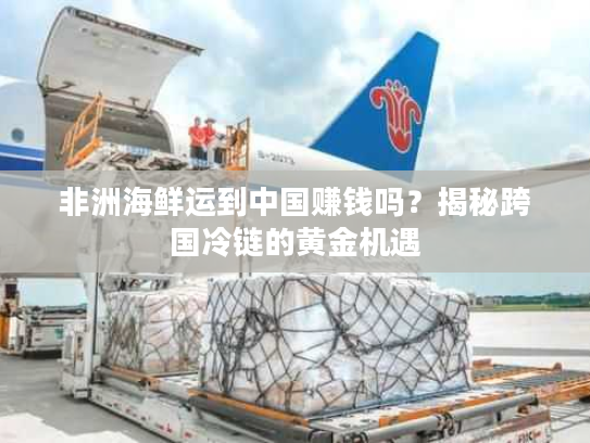 非洲海鲜运到中国赚钱吗？揭秘跨国冷链的黄金机遇