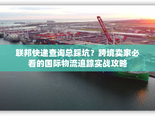 联邦快递查询总踩坑？跨境卖家必看的国际物流追踪实战攻略