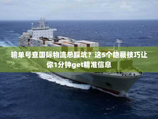 输单号查国际物流总踩坑？这5个隐藏技巧让你1分钟get精准信息