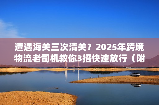 遭遇海关三次清关？2025年跨境物流老司机教你3招快速放行（附实战案例）