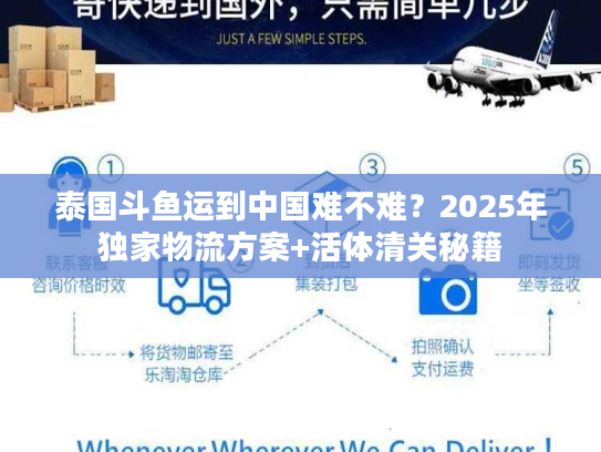 泰国斗鱼运到中国难不难？2025年独家物流方案+活体清关秘籍