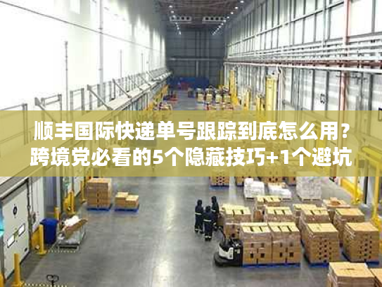 顺丰国际快递单号跟踪到底怎么用？跨境党必看的5个隐藏技巧+1个避坑指南