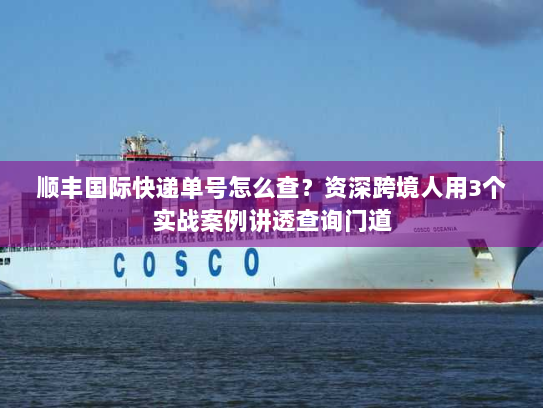顺丰国际快递单号怎么查？资深跨境人用3个实战案例讲透查询门道