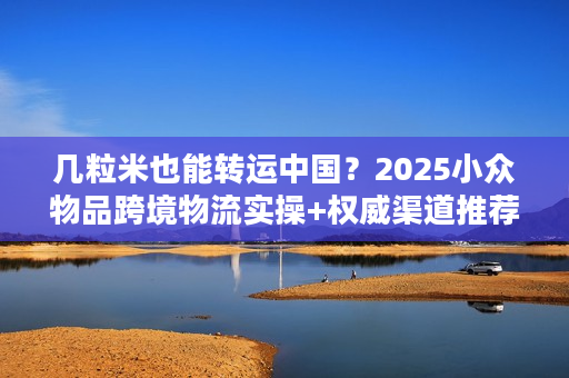 几粒米也能转运中国？2025小众物品跨境物流实操+权威渠道推荐