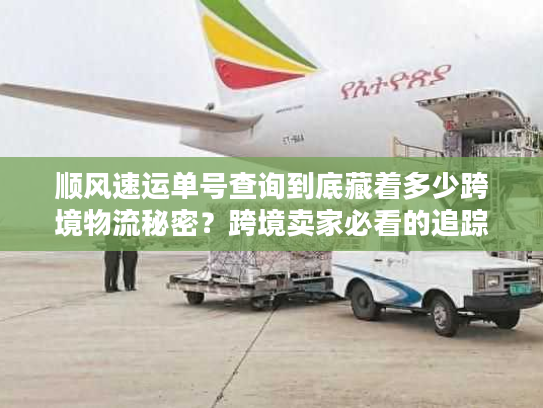 顺风速运单号查询到底藏着多少跨境物流秘密？跨境卖家必看的追踪门道