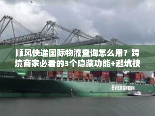 顺风快递国际物流查询怎么用？跨境商家必看的3个隐藏功能+避坑技巧