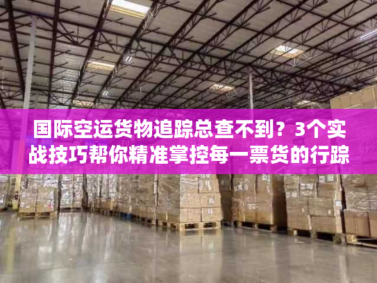 国际空运货物追踪总查不到？3个实战技巧帮你精准掌控每一票货的行踪