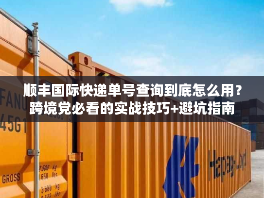顺丰国际快递单号查询到底怎么用？跨境党必看的实战技巧+避坑指南