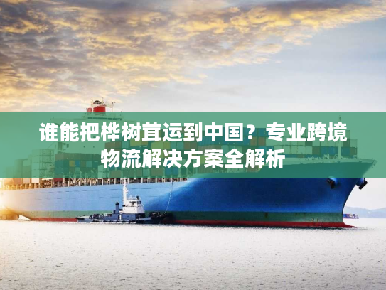 谁能把桦树茸运到中国？专业跨境物流解决方案全解析