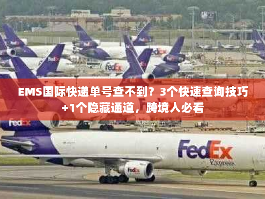 EMS国际快递单号查不到？3个快速查询技巧+1个隐藏通道，跨境人必看