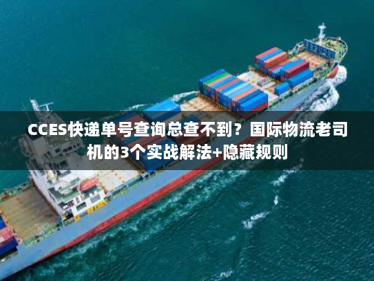 CCES快递单号查询总查不到？国际物流老司机的3个实战解法+隐藏规则