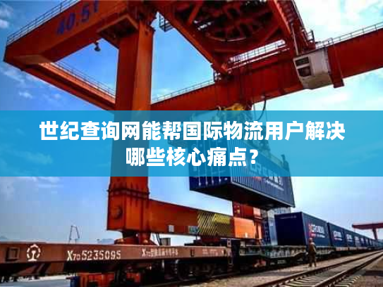 世纪查询网能帮国际物流用户解决哪些核心痛点? 世纪查询网能帮国际物流用户解决哪些核心痛点?