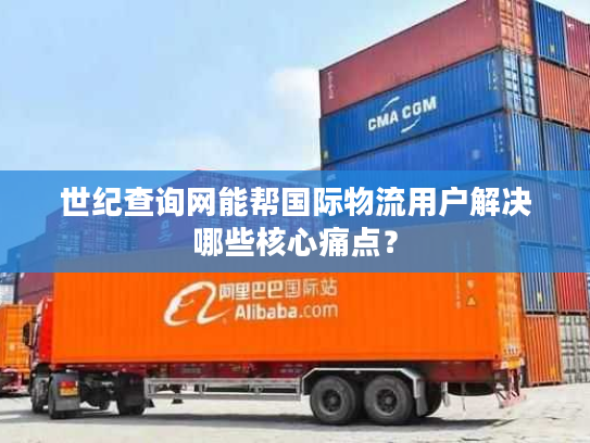 世纪查询网能帮国际物流用户解决哪些核心痛点? 世纪查询网能帮国际物流用户解决哪些核心痛点?