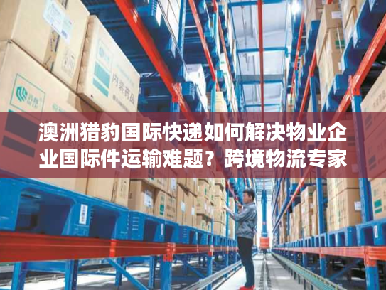 澳洲猎豹国际快递如何解决物业企业国际件运输难题？跨境物流专家实测解析