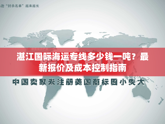 湛江国际海运专线多少钱一吨？最新报价及成本控制指南