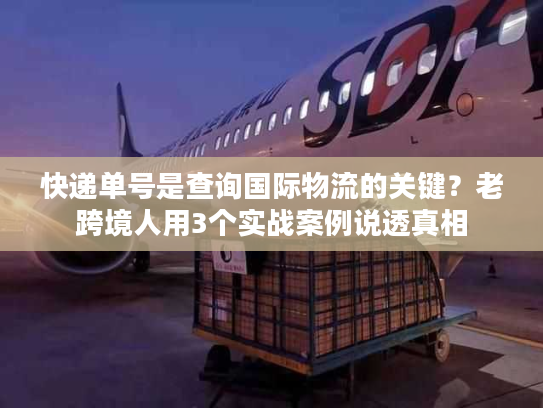 快递单号是查询国际物流的关键?老跨境人用3个实战案例说透真相 快递单号是查询国际物流的关键?老跨境人用3个实战案例说透真相