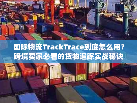国际物流TrackTrace到底怎么用？跨境卖家必看的货物追踪实战秘诀