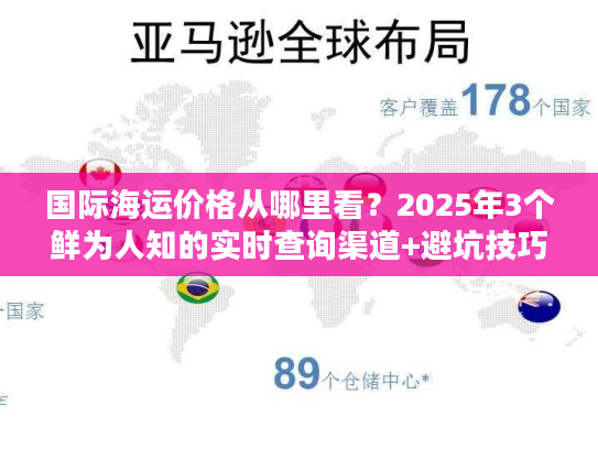 国际海运价格从哪里看？2025年3个鲜为人知的实时查询渠道+避坑技巧