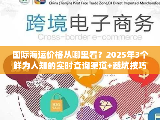 国际海运价格从哪里看？2025年3个鲜为人知的实时查询渠道+避坑技巧
