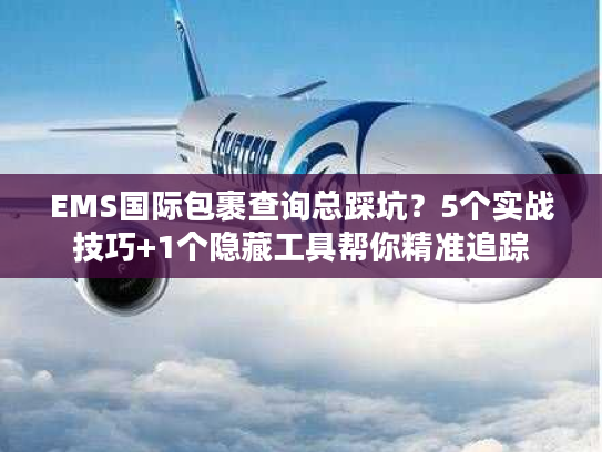 EMS国际包裹查询总踩坑？5个实战技巧+1个隐藏工具帮你精准追踪