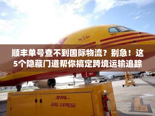 顺丰单号查不到国际物流？别急！这5个隐藏门道帮你搞定跨境运输追踪