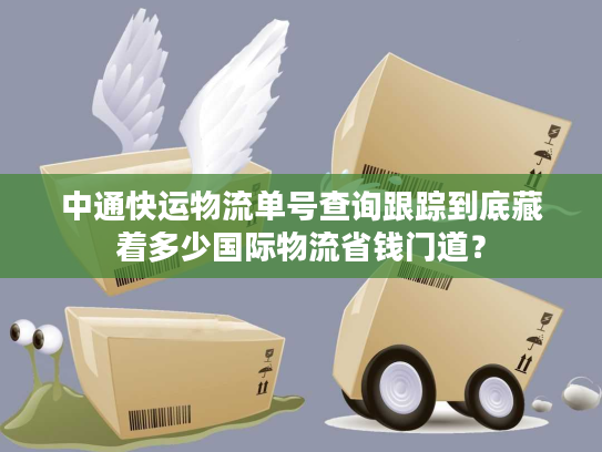 中通快运物流单号查询跟踪到底藏着多少国际物流省钱门道？