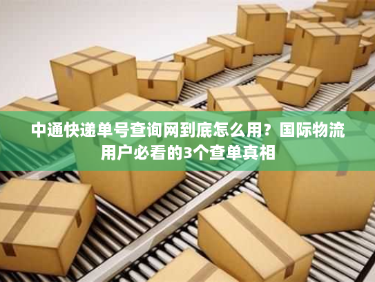 中通快递单号查询网到底怎么用？国际物流用户必看的3个查单真相