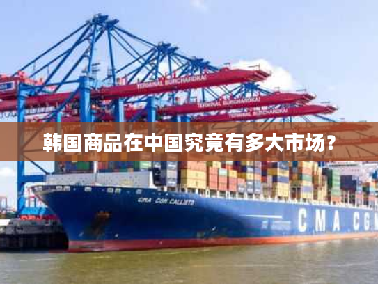 韩国商品在中国究竟有多大市场？