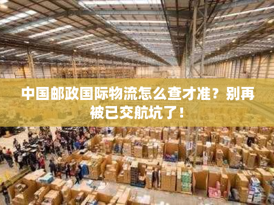 中国邮政国际物流怎么查才准？别再被已交航坑了！