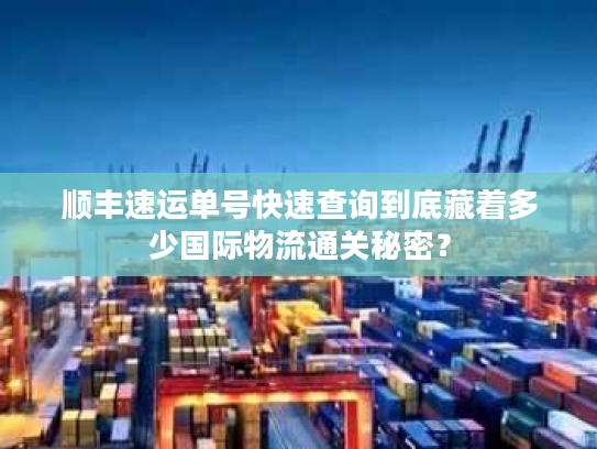 顺丰速运单号快速查询到底藏着多少国际物流通关秘密？
