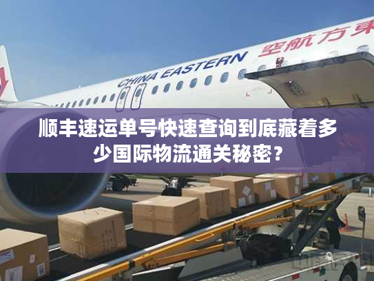 顺丰速运单号快速查询到底藏着多少国际物流通关秘密？