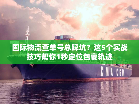 国际物流查单号总踩坑？这5个实战技巧帮你1秒定位包裹轨迹