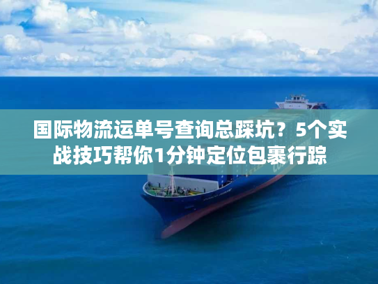 国际物流运单号查询总踩坑？5个实战技巧帮你1分钟定位包裹行踪