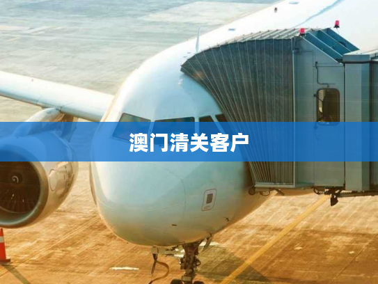 澳门清关客户