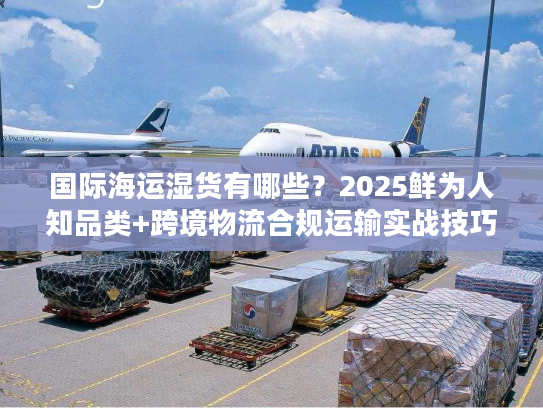 国际海运湿货有哪些？2025鲜为人知品类+跨境物流合规运输实战技巧