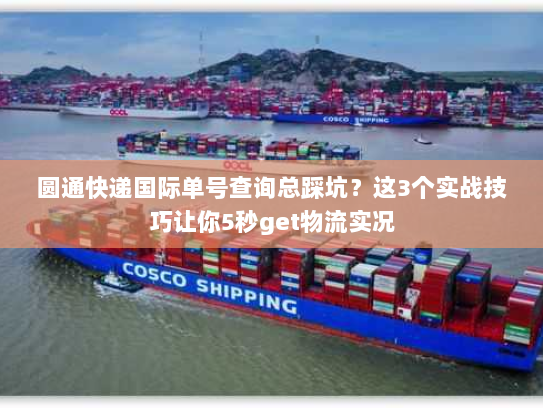 圆通快递国际单号查询总踩坑？这3个实战技巧让你5秒get物流实况