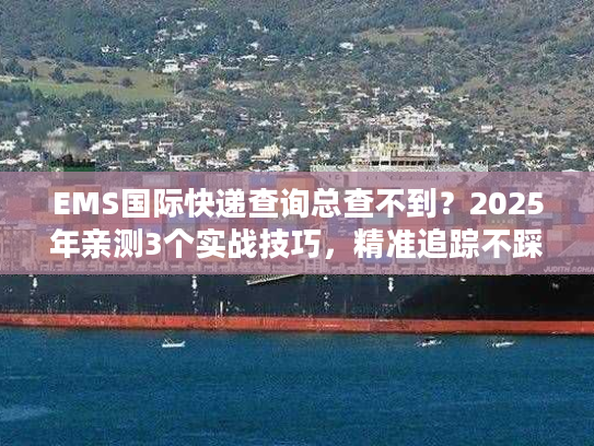 EMS国际快递查询总查不到?2025年亲测3个实战技巧,精准追踪不踩坑 EMS国际快递查询总查不到?2025年亲测3个实战技巧,精准追踪不踩坑