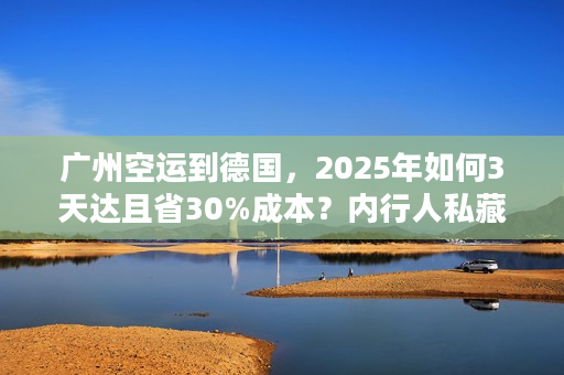 广州空运到德国，2025年如何3天达且省30%成本？内行人私藏的实战技巧