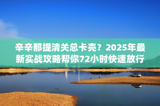 辛辛那提清关总卡壳？2025年最新实战攻略帮你72小时快速放行