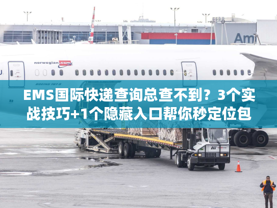 EMS国际快递查询总查不到？3个实战技巧+1个隐藏入口帮你秒定位包裹