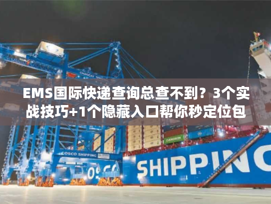 EMS国际快递查询总查不到？3个实战技巧+1个隐藏入口帮你秒定位包裹