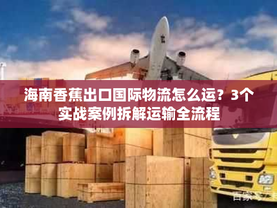 海南香蕉出口国际物流怎么运？3个实战案例拆解运输全流程